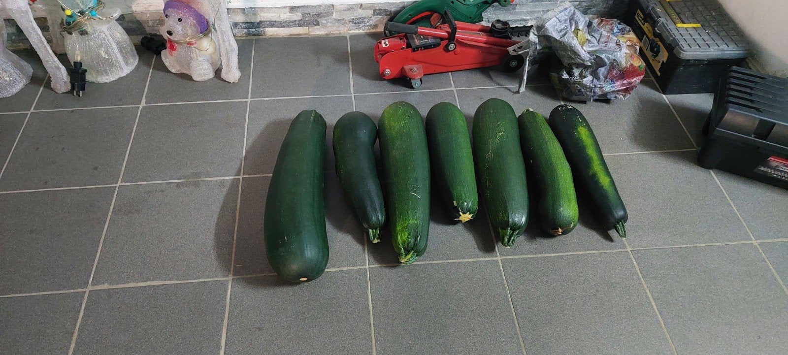courgette, Enlèvement
