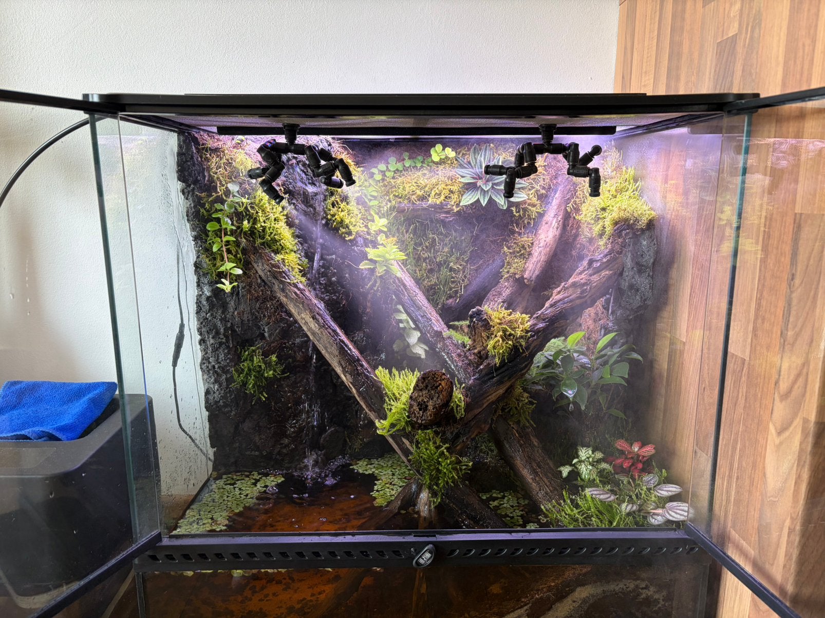 Exo Terra 60x45x60, Enlèvement, Utilisé, Terrarium ou Paludarium