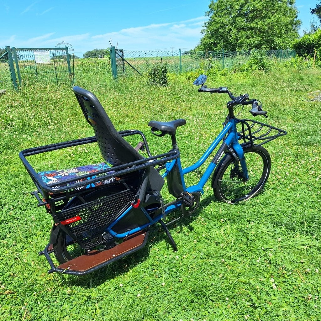 Douze Cycles LT2 S elektrische bakfiets — Uitstekende staat, Ophalen, Zo goed als nieuw, Overige merken