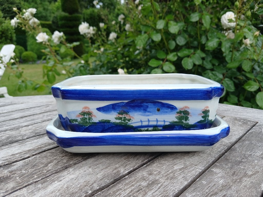 Bonsai bloempot met schaal, Tuin en Terras, Ophalen of Verzenden, Rechthoekig