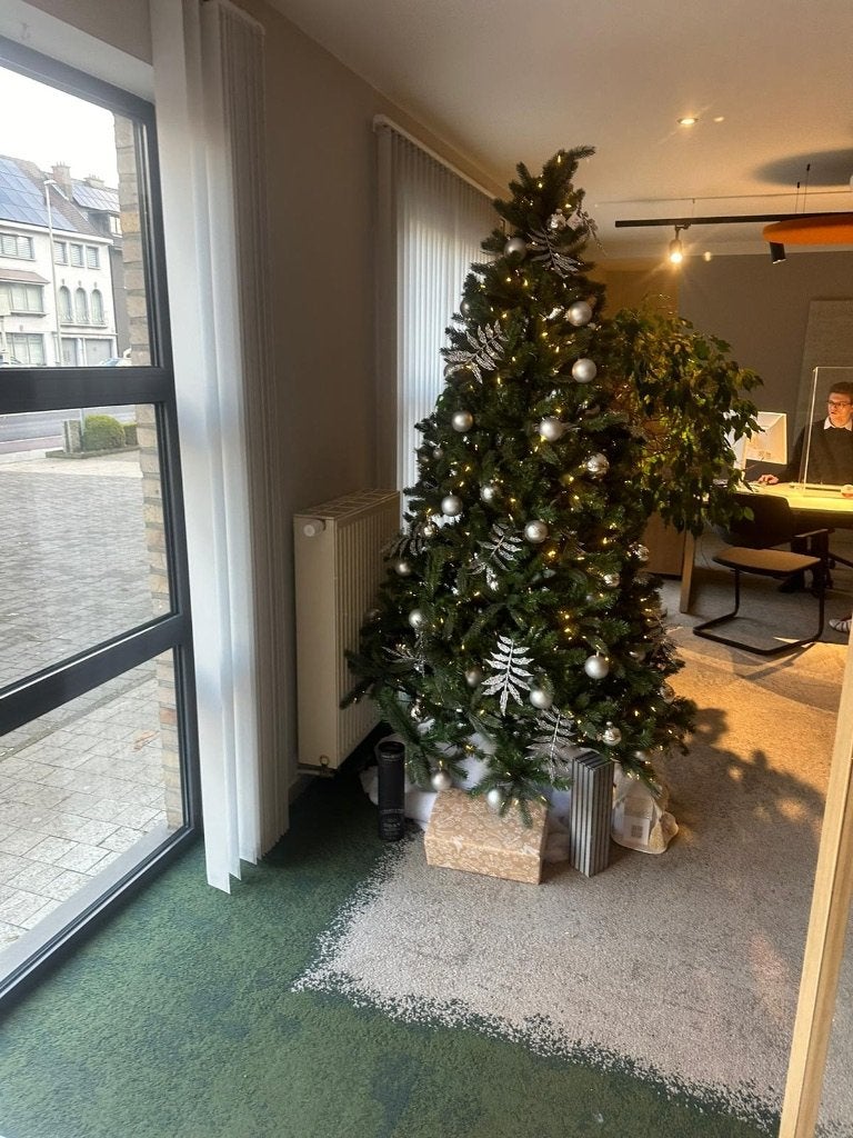 Kerstbomen, Ophalen, Binnen, Groen, Zo goed als nieuw