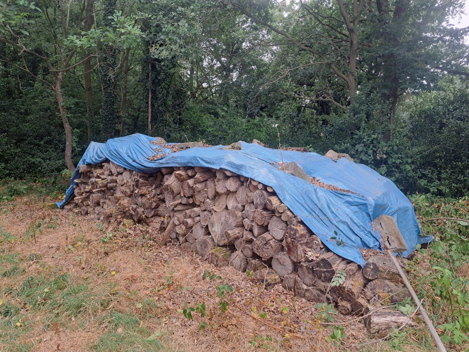 stookhout, 6 m³ of meer, Ophalen, Overige houtsoorten, Blokken