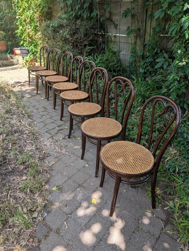 Stoelen Thonet nr.16 Romania, Ophalen
