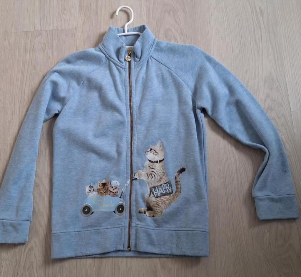 River woods trui, Kinderen en Baby's, Kinderkleding | Maat 176, Ophalen, Trui of Vest, Zo goed als nieuw, River woods
