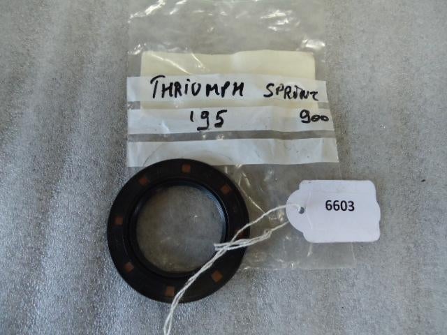Sprint 900 1996 - 1998 Triumph Dichting D1-13904