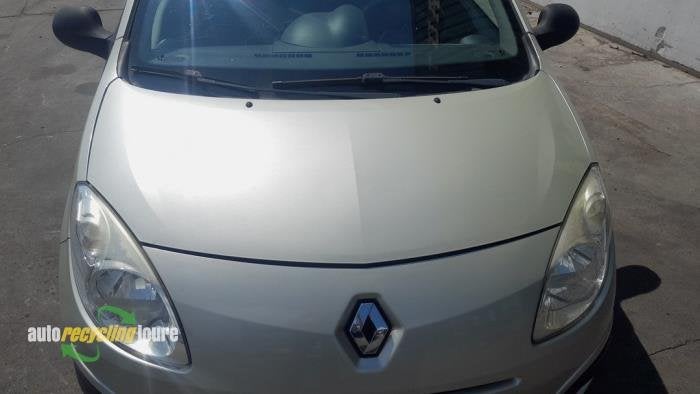 Motorkap van een Renault Twingo (MV190), Gebruikt, -, Renault, -