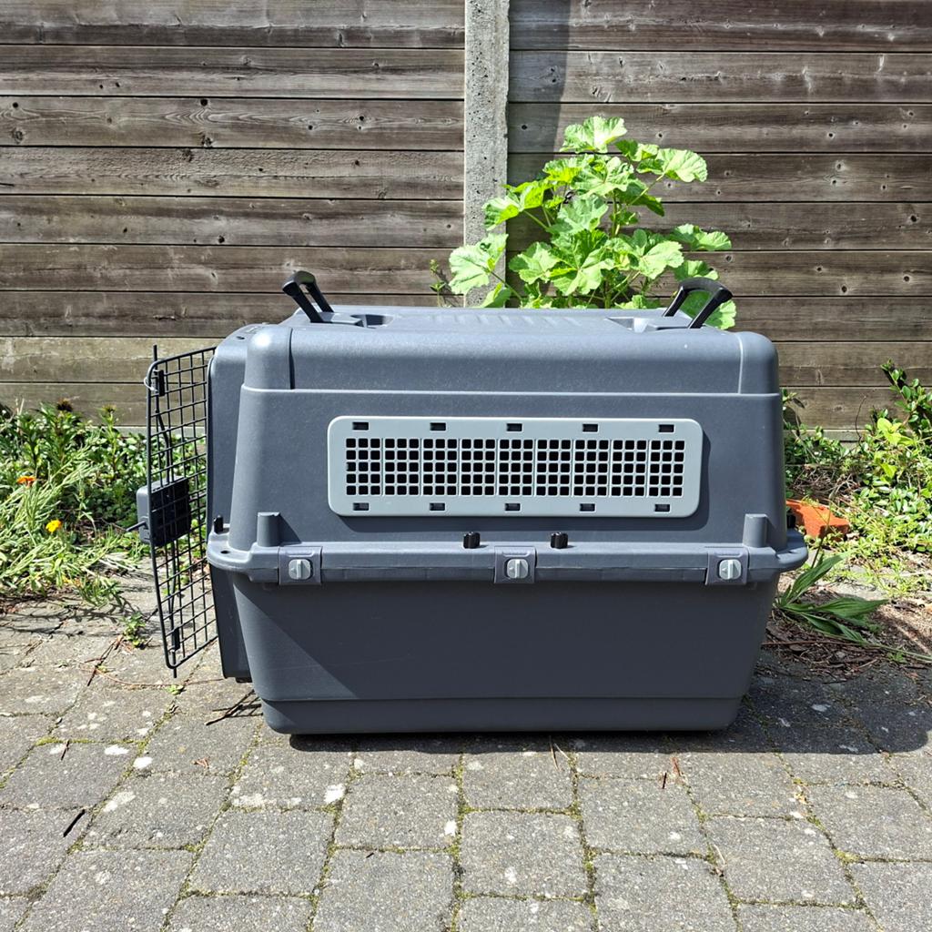 Transportbox hond AniOne, Dieren en Toebehoren, Ophalen