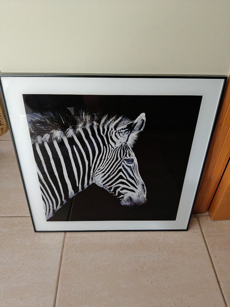 Leuke kader Zebra 50 x 50 cm, Huis en Inrichting, Ophalen, Gebruikt, 50 tot 75 cm