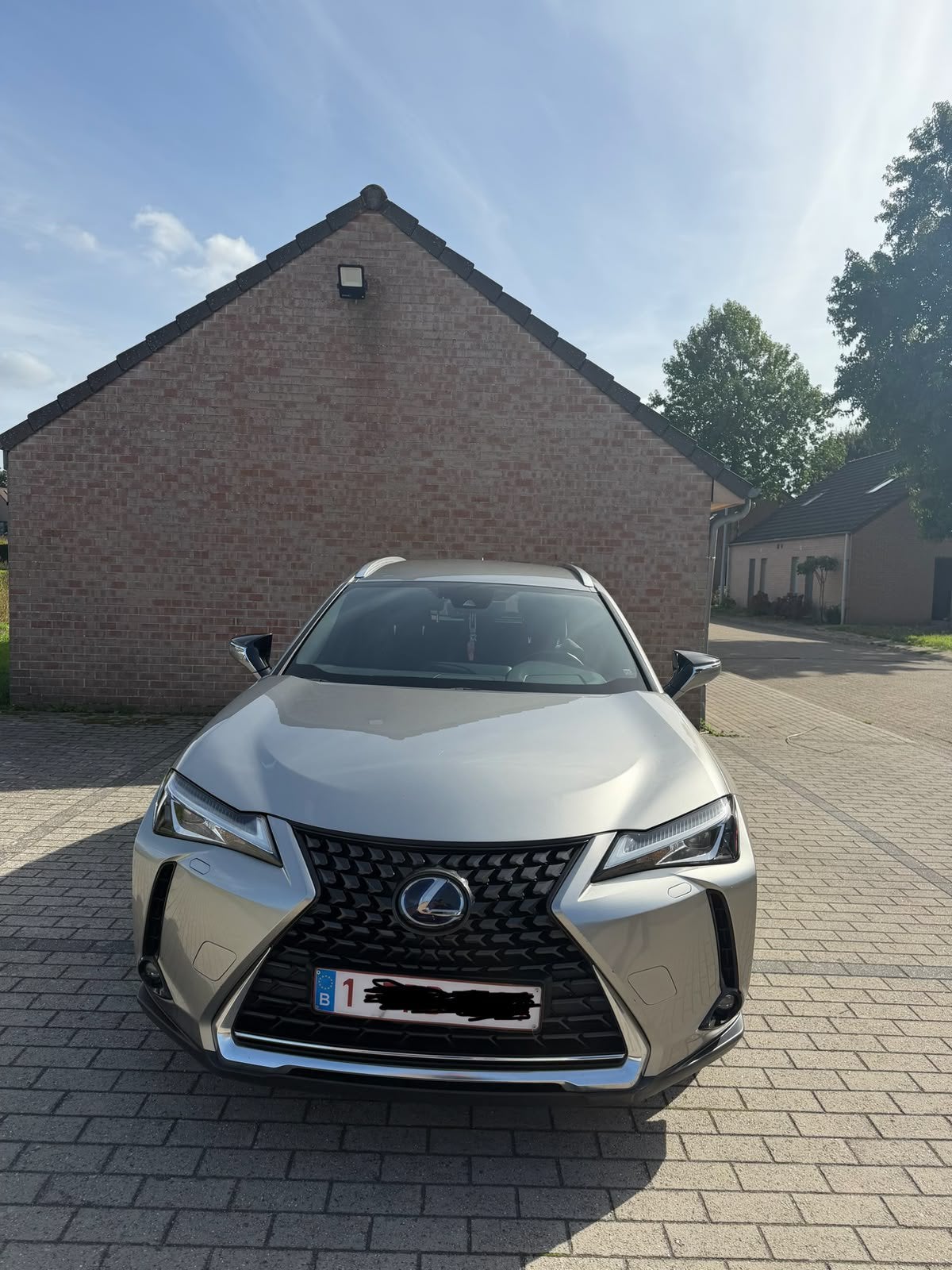 Lexus UX250 Hybride, Autos, Bluetooth, Achat, Euro 6, Automatique
