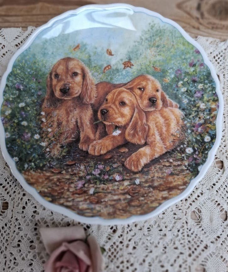 Vintage Royal Albert wandbord, Cocker Spaniels, 1995, Enlèvement ou Envoi