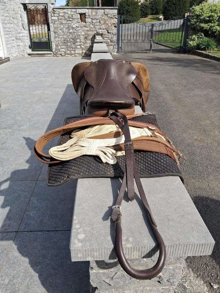 selle, Dieren en Toebehoren, Gebruikt, Paard of Pony