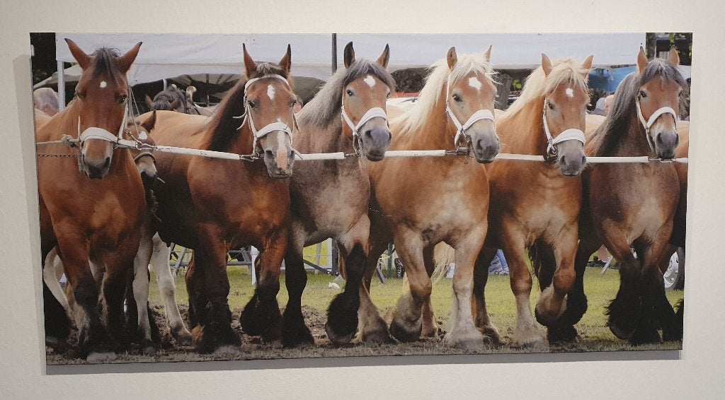 Grand tableau (120 cm x 60 cm) avec toile chevaux, Maison & Meubles, 60 cm, Tableau, Enlèvement, Utilisé