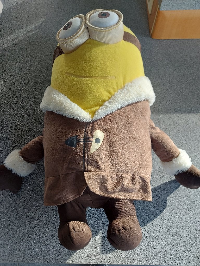 Minion knuffel 60 cm, Kinderen en Baby's, Ophalen of Verzenden, Zo goed als nieuw, Middelgroot (20 tot 80 cm)