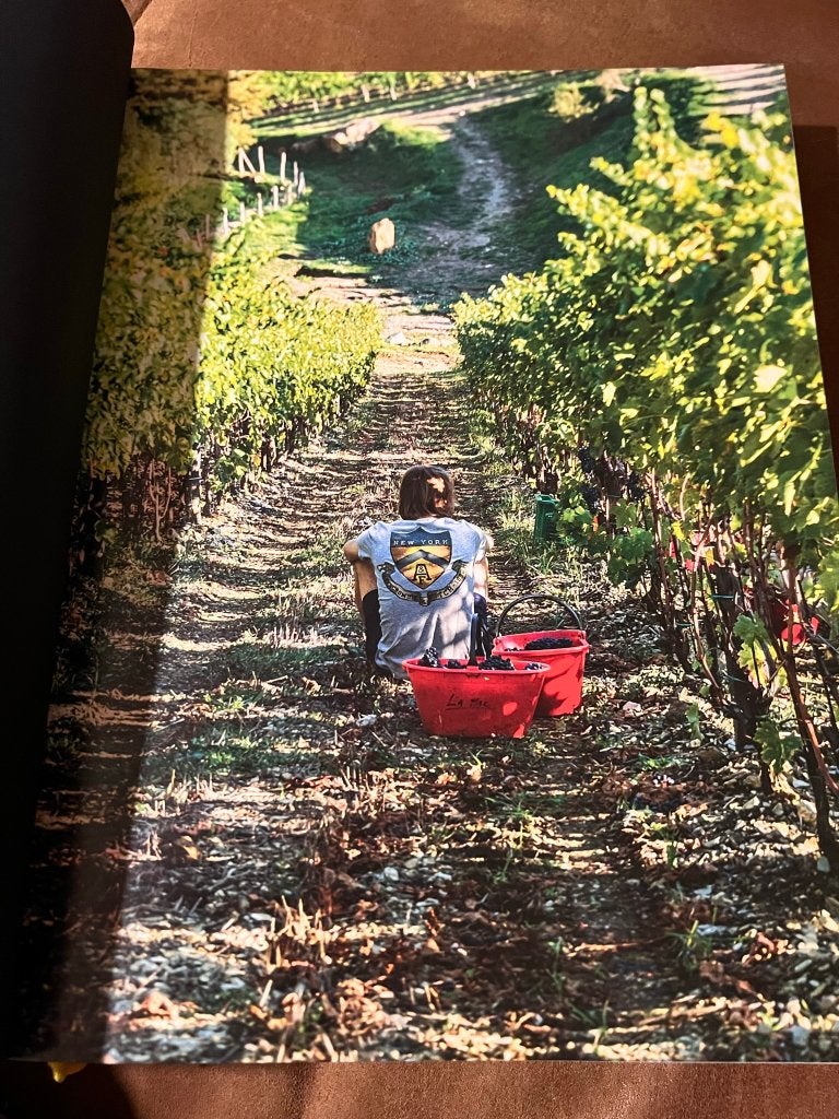 Vineyard: Belgians Producing Top European Wines - Dirk De Me, Livres, Enlèvement ou Envoi, Comme neuf, Régime et Alimentation