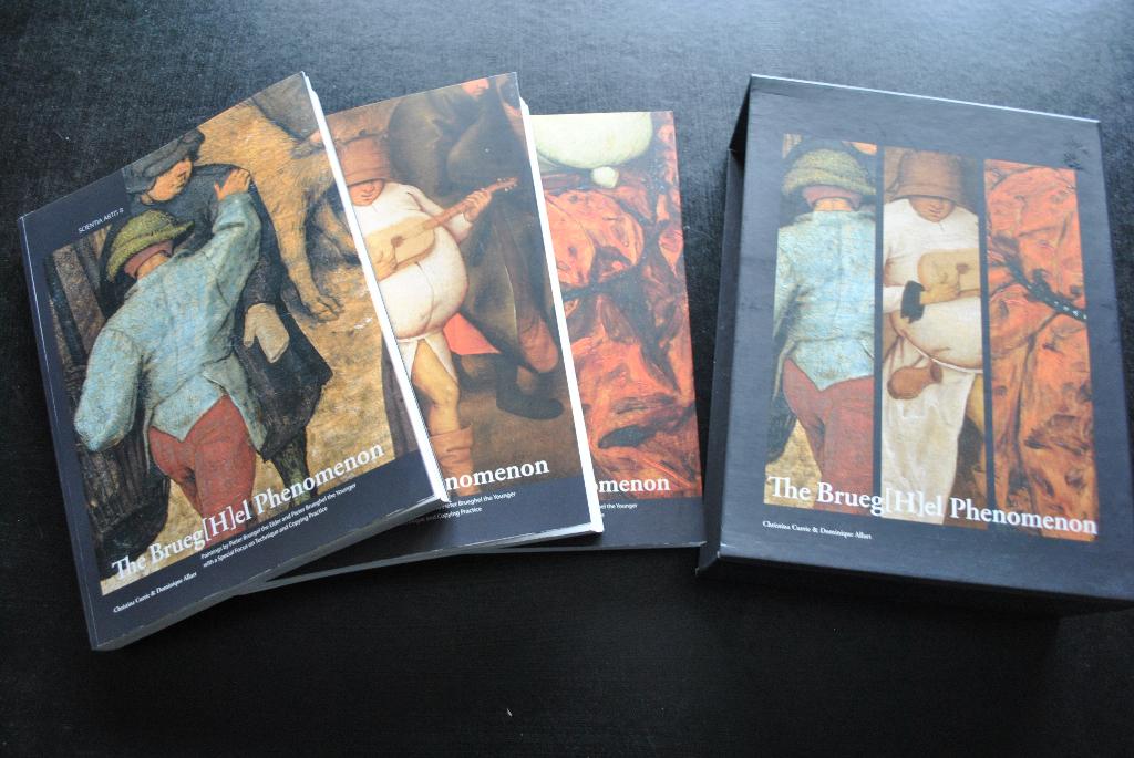 The Brueg(H)el phenomenon. Paintings by Pieter Bruegel RARE, Gelezen, Currie & Allart, Ophalen of Verzenden, Schilder- en Tekenkunst