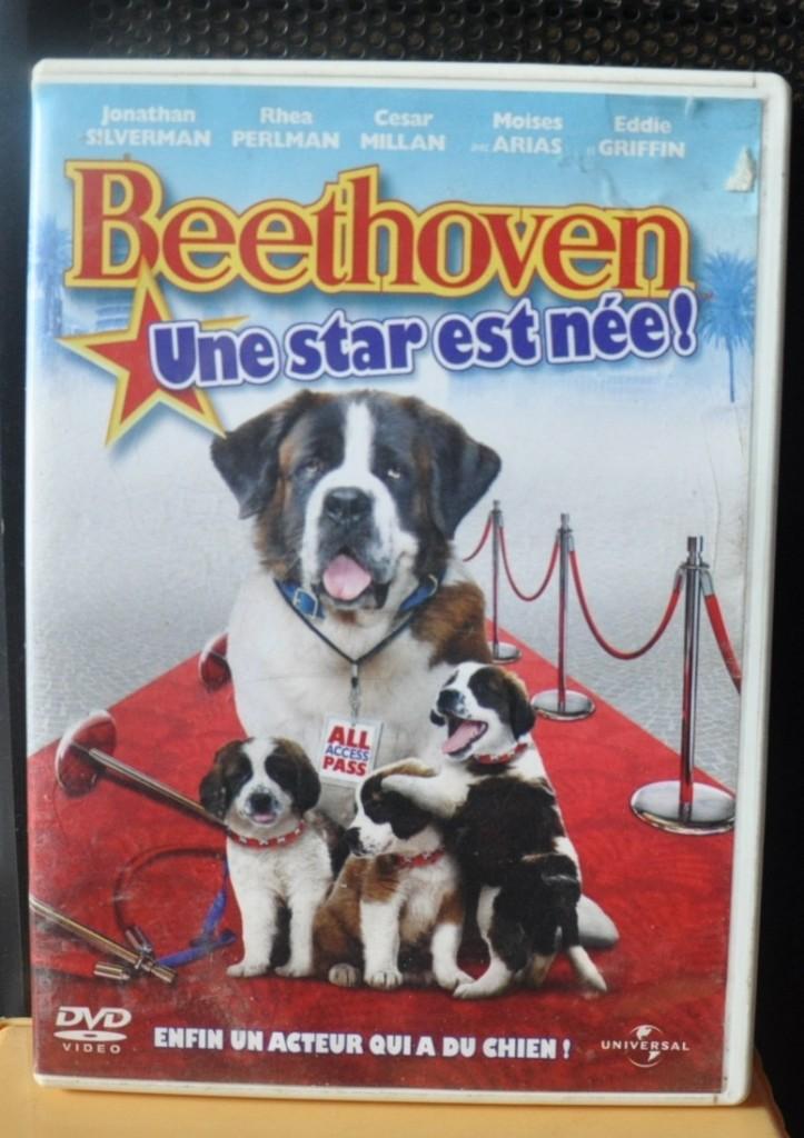 dvd beethoven une star est née (x20466), Cd's en Dvd's, Gebruikt, Alle leeftijden, Ophalen of Verzenden, Komedie