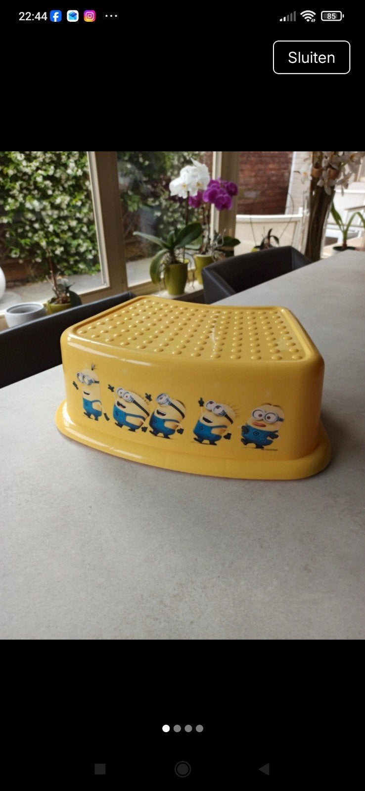 Opstapje van de Minions, Enlèvement