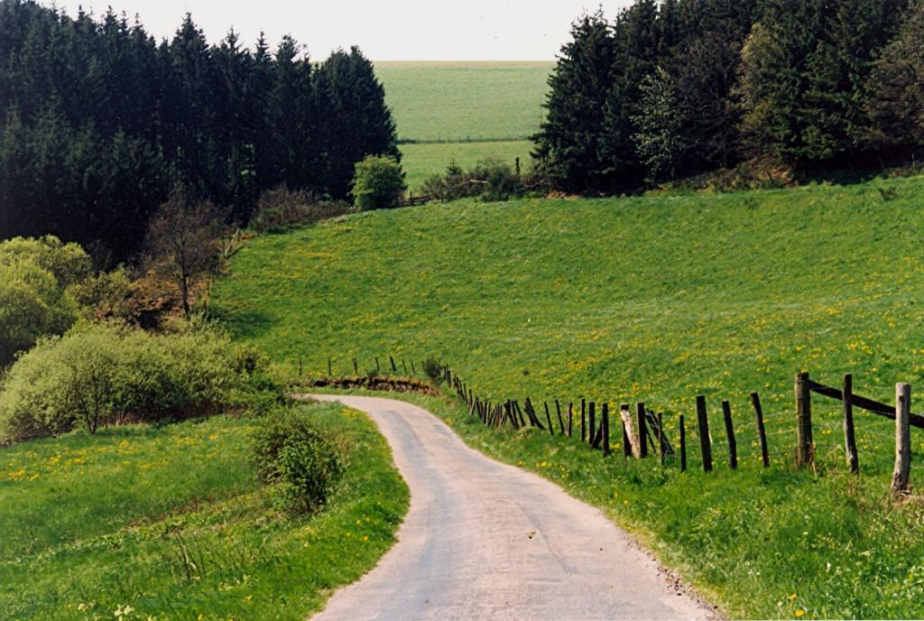 Drie dagen toeren door de Ardennen en Eifel met de auto., Tickets en Kaartjes, Recreatie | Overige, Drie personen of meer