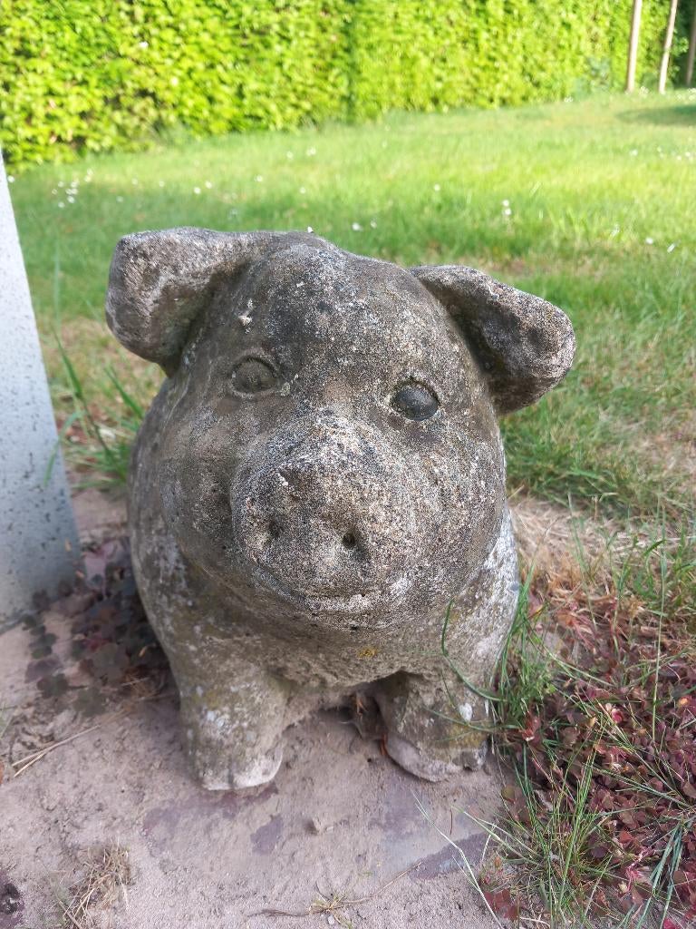 tuinbeeld varken, Tuin en Terras, Ophalen, Zo goed als nieuw, Beton, Dierenbeeld
