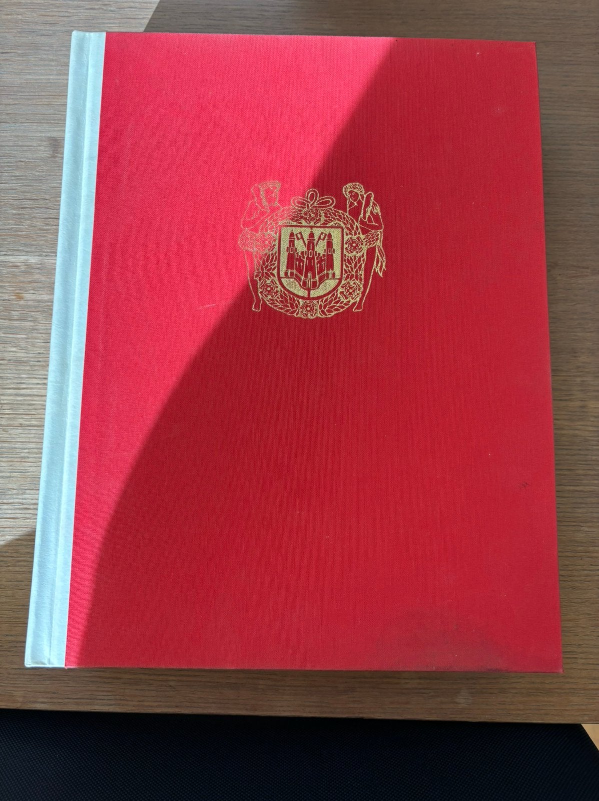 Antwerpen De Gouden Eeuw, Ophalen of Verzenden, Zo goed als nieuw