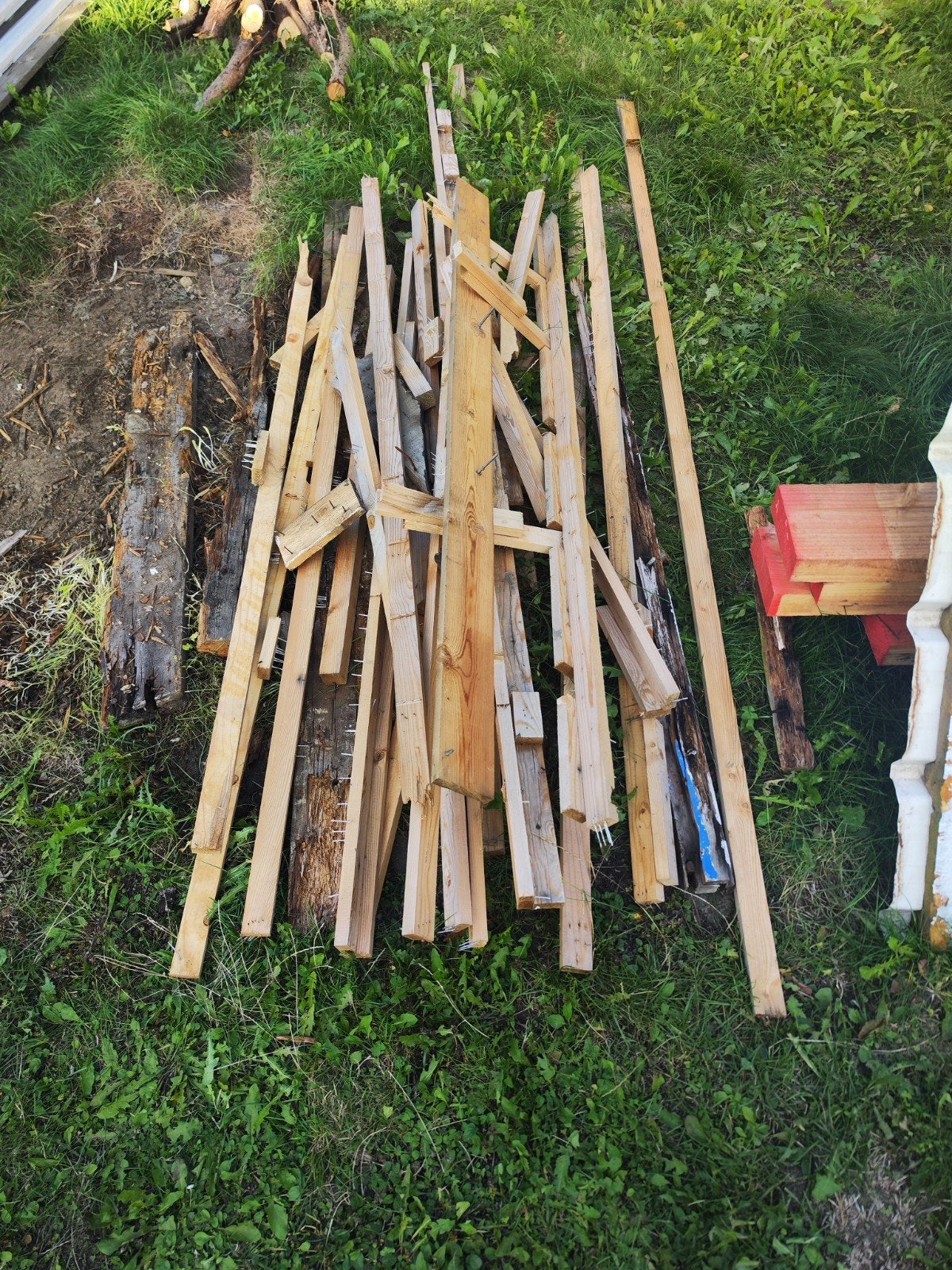 gratis brandhout, Ophalen, Stammen