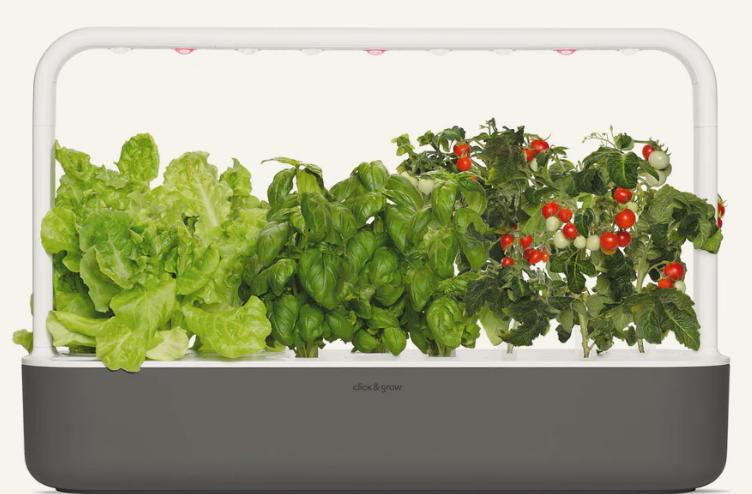 Click & Grow Smart Garden, Tuin en Terras, Bloembakken en Plantenbakken, Zo goed als nieuw, Kunststof, Binnen, Balkon, Tuin, 30 tot 60 cm
