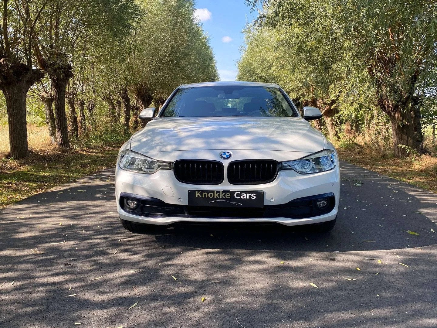 BMW 3 Serie 318 318d,19"Alu velgen,Sportzetels,Parkeerhulp, Autos, BMW, 121 g/km, Entreprise, Noir, Commande vocale