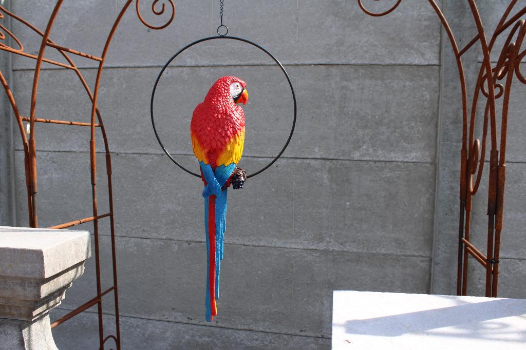 XL-papegaai in een hangcirkel., Ophalen, Nieuw, Kunststof, Dierenbeeld