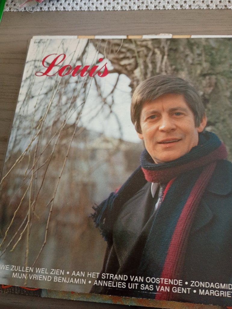 Louis Neefs - Louis, CD & DVD, Vinyles | Néerlandophone, Pochette photo, Autres genres, Utilisé, Envoi
