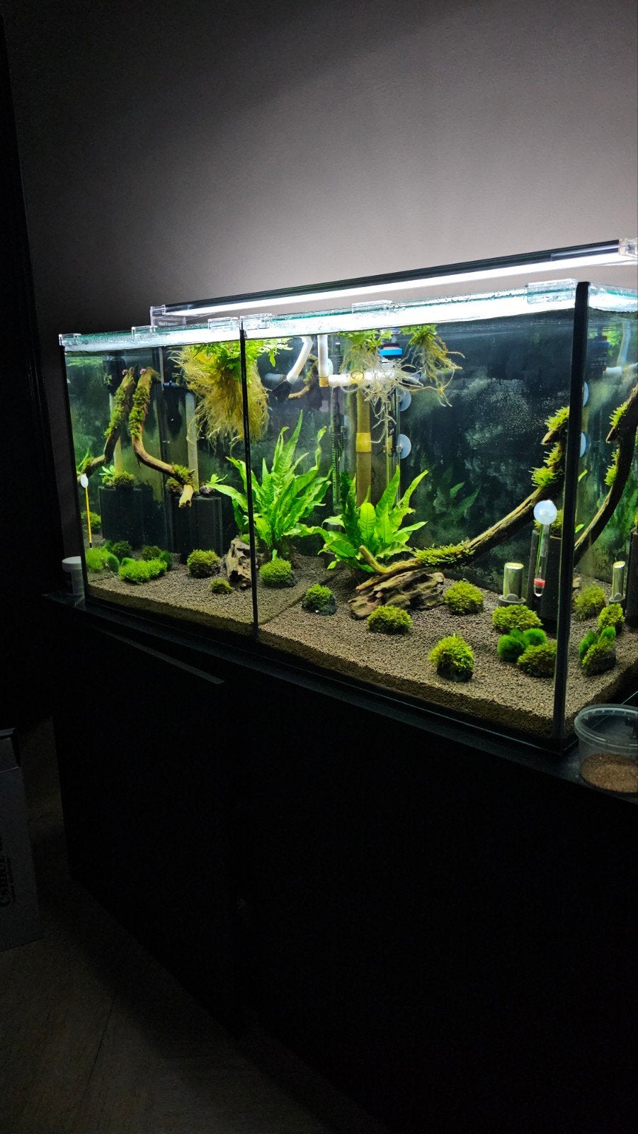 Marina Aquarium 200L | Incl. toebehoren | ZGAN | Moet weg, Ophalen, Decoratie, Eheim
