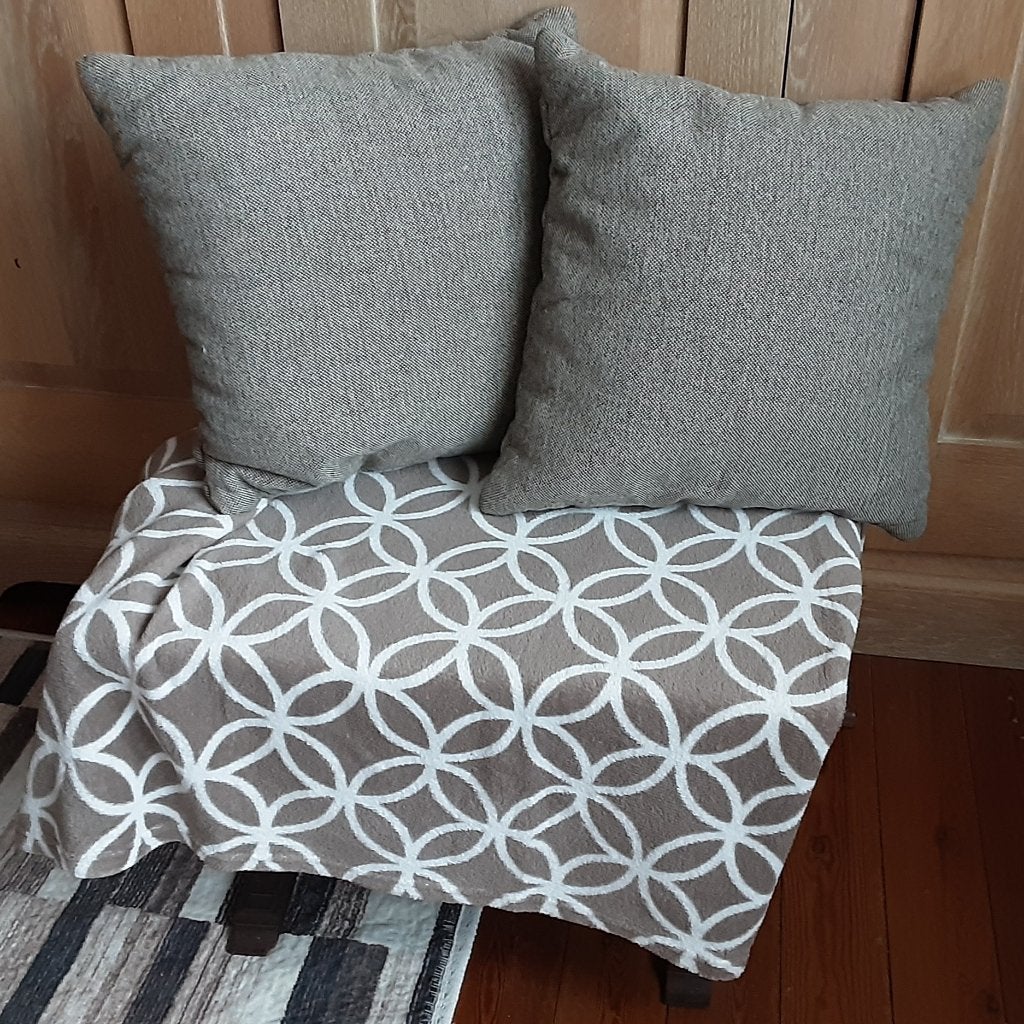 SET 2 sierkussens + flessen plaid, Prijs voor alles, Enlèvement ou Envoi, Carré, Lavable