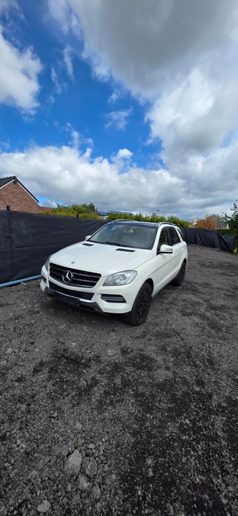Mercedes ML 250cdi LIRE L ANNONCE . ( EXPORT OU A RÉPARÉ ), Entreprise, Automatique, Achat