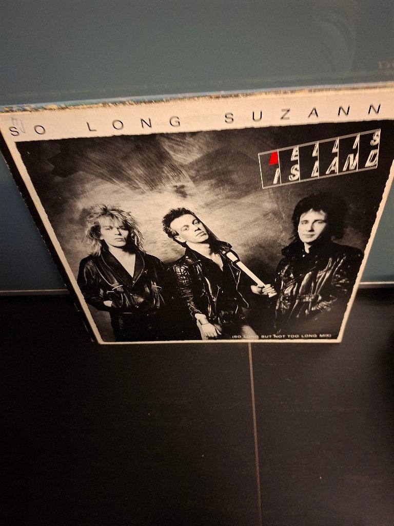 12" - ellis island - so long suzanne - vak 8, Ophalen of Verzenden, 12 inch, Overige typen, Fotohoes