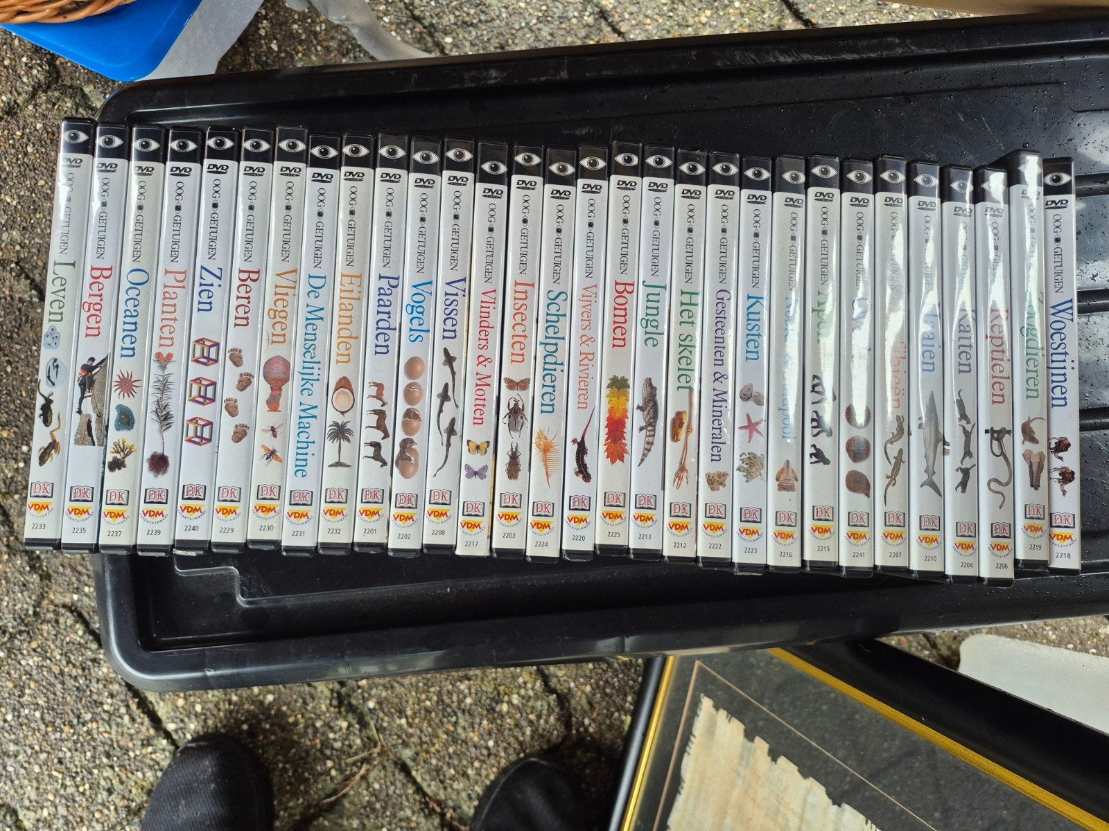 Educatieve dvd's, CD & DVD, Enlèvement