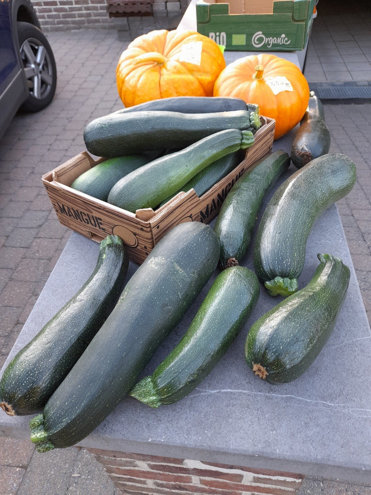 courgetten bio 0,50 €/per stuk, Tuin en Terras, Bloembollen en Zaden, Ophalen