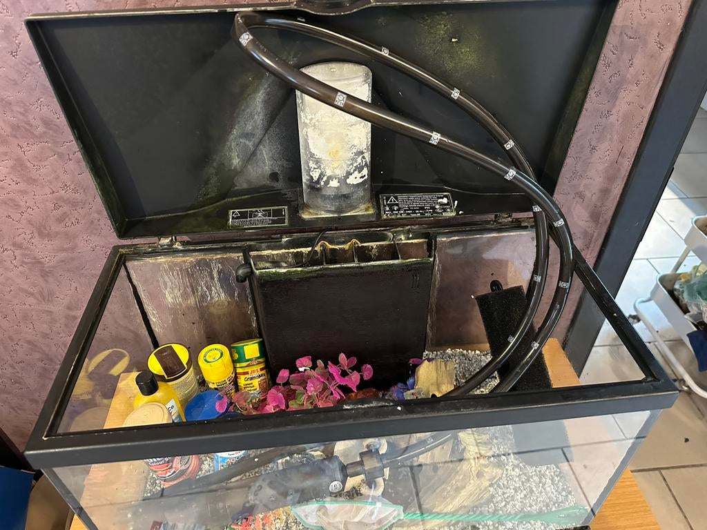 Aquarium 60L + accessoires, Enlèvement, Comme neuf