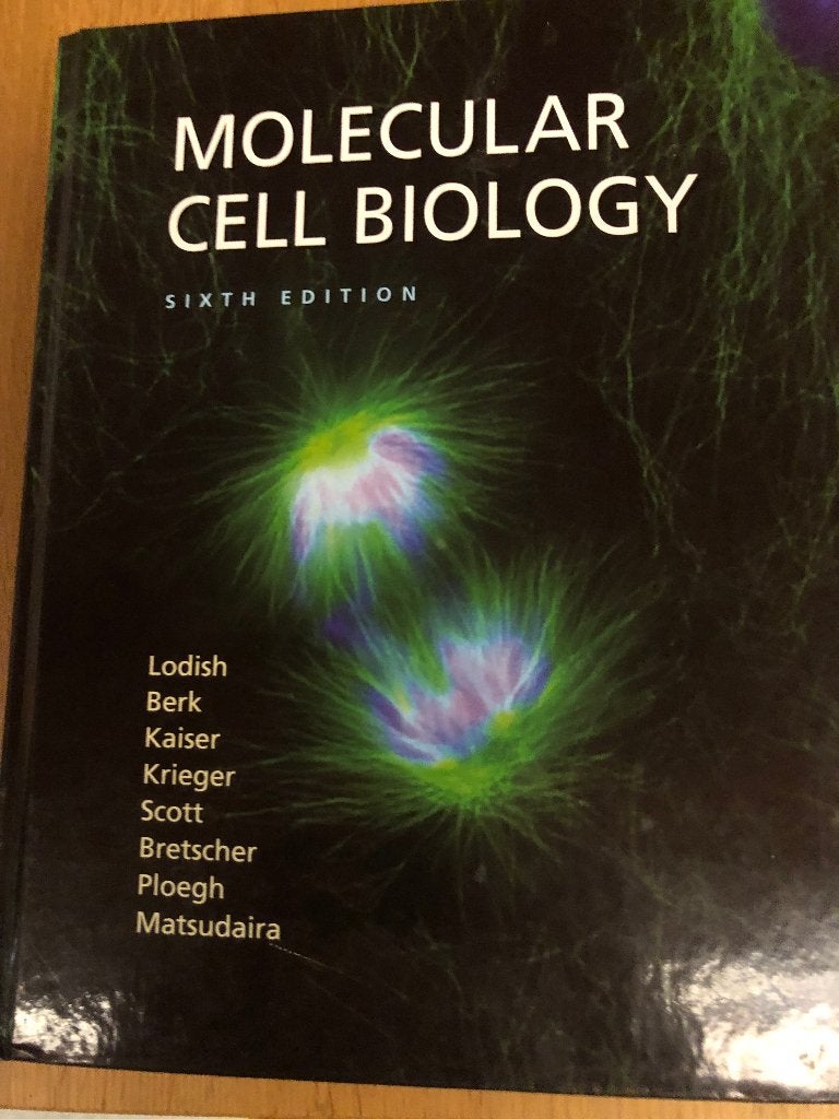 Molecular Cell Biology, Ophalen, Zo goed als nieuw, Hoger Onderwijs