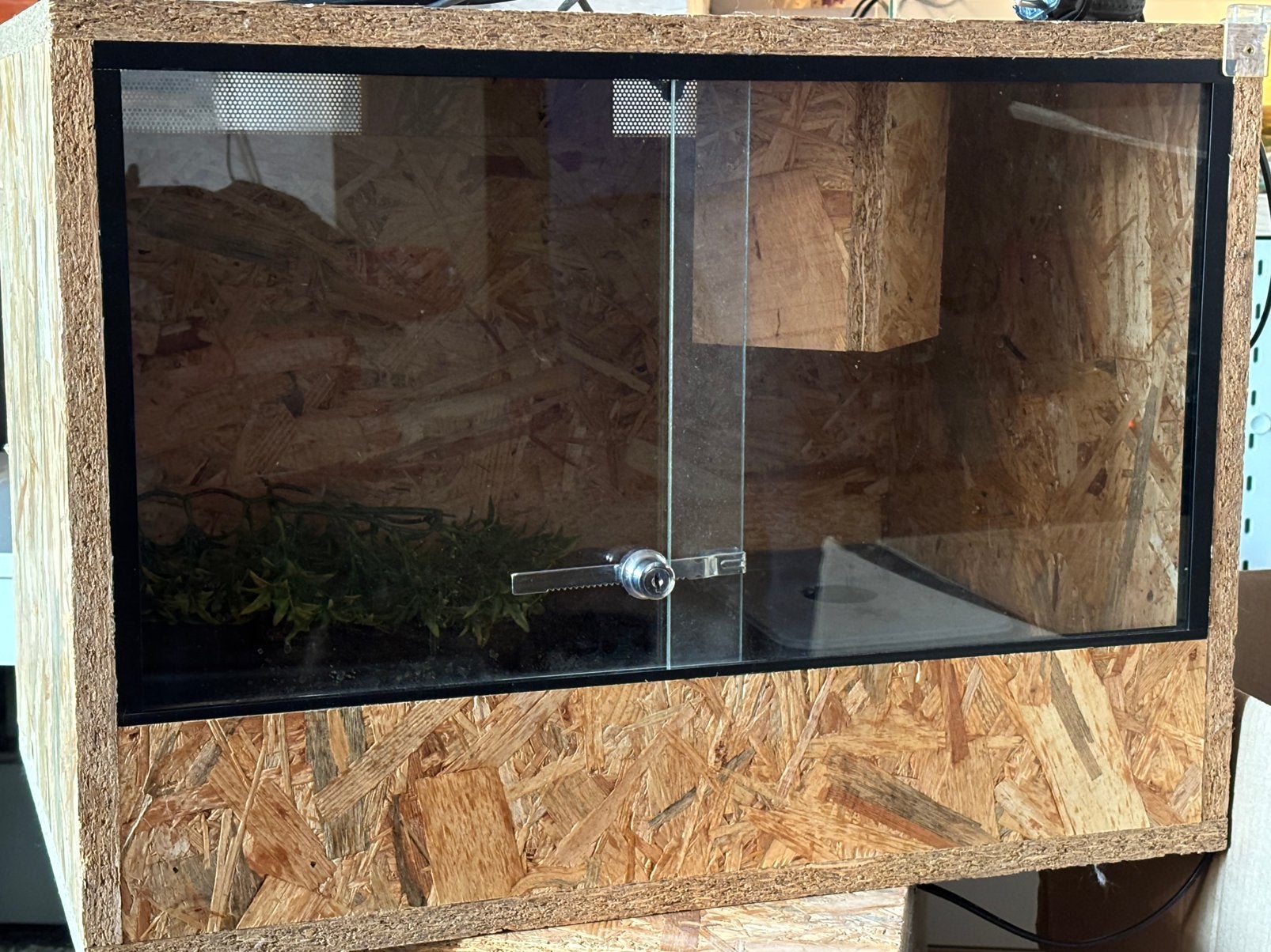 OSB terrarium, Enlèvement, Comme neuf