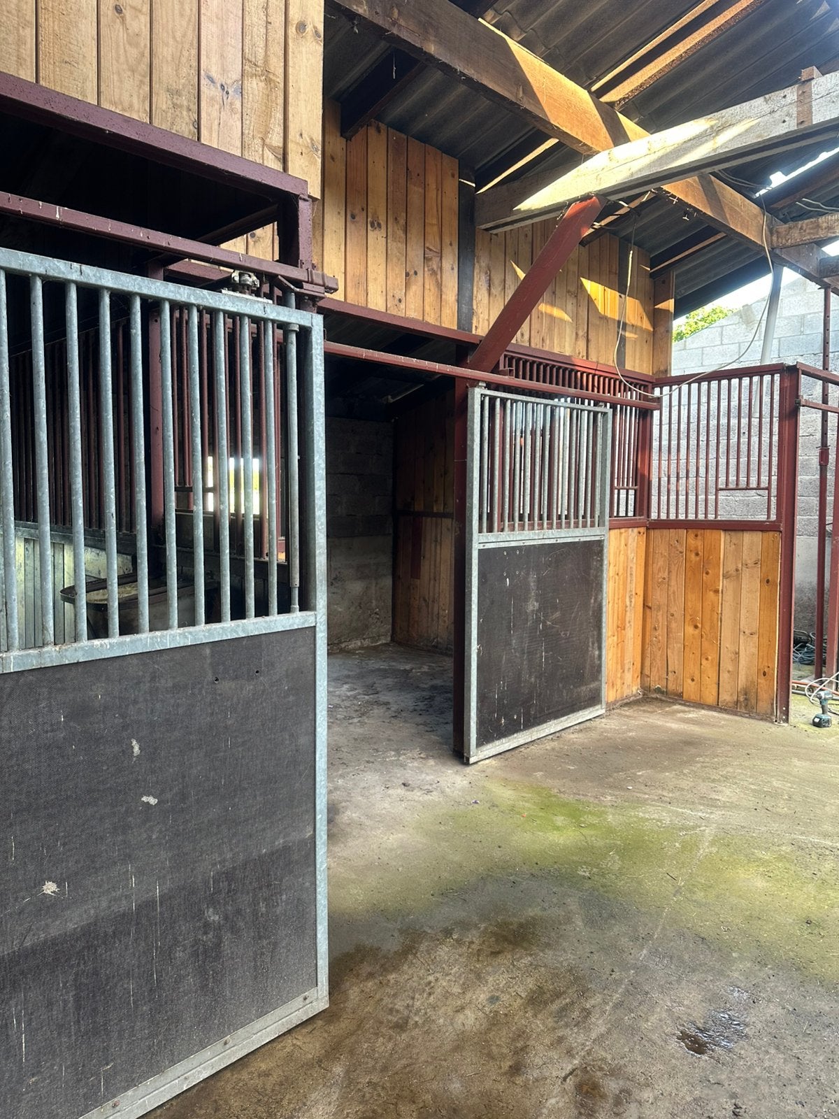 Paarden boxen, Dieren en Toebehoren, Stalling en Weidegang