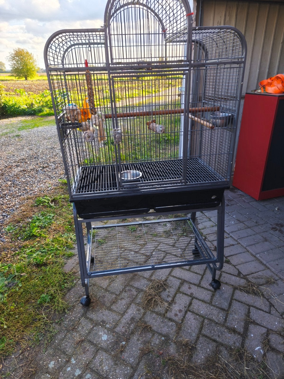 papegaai kooi, Dieren en Toebehoren, Ophalen of Verzenden