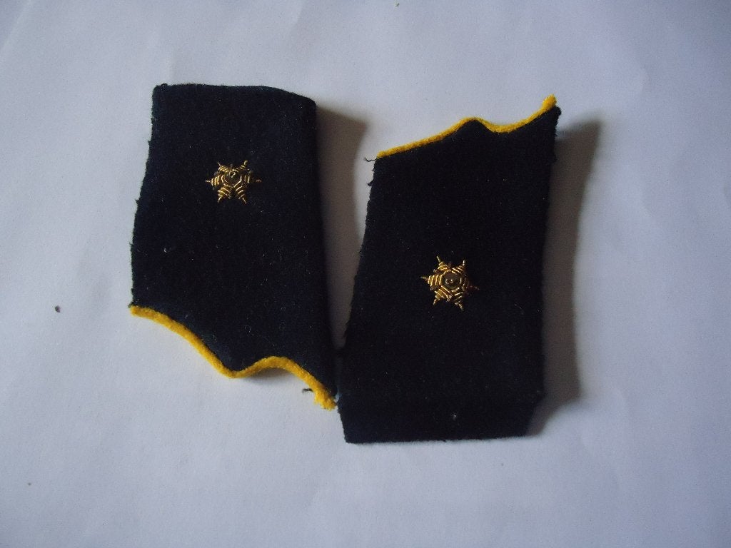 grade slt chasseur, Collections, Enlèvement ou Envoi, Armée de terre, Emblème ou Badge
