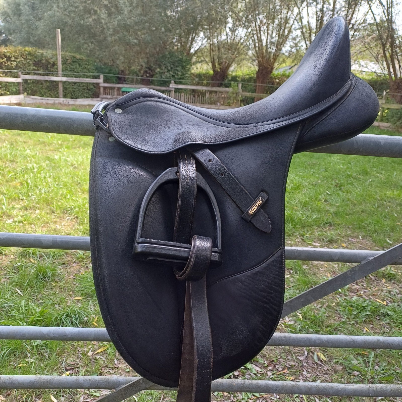Wintec dressuur Isabell Werth, Dieren en Toebehoren, Ophalen, L (17.5 inch), Gebruikt, Aanpassysteem