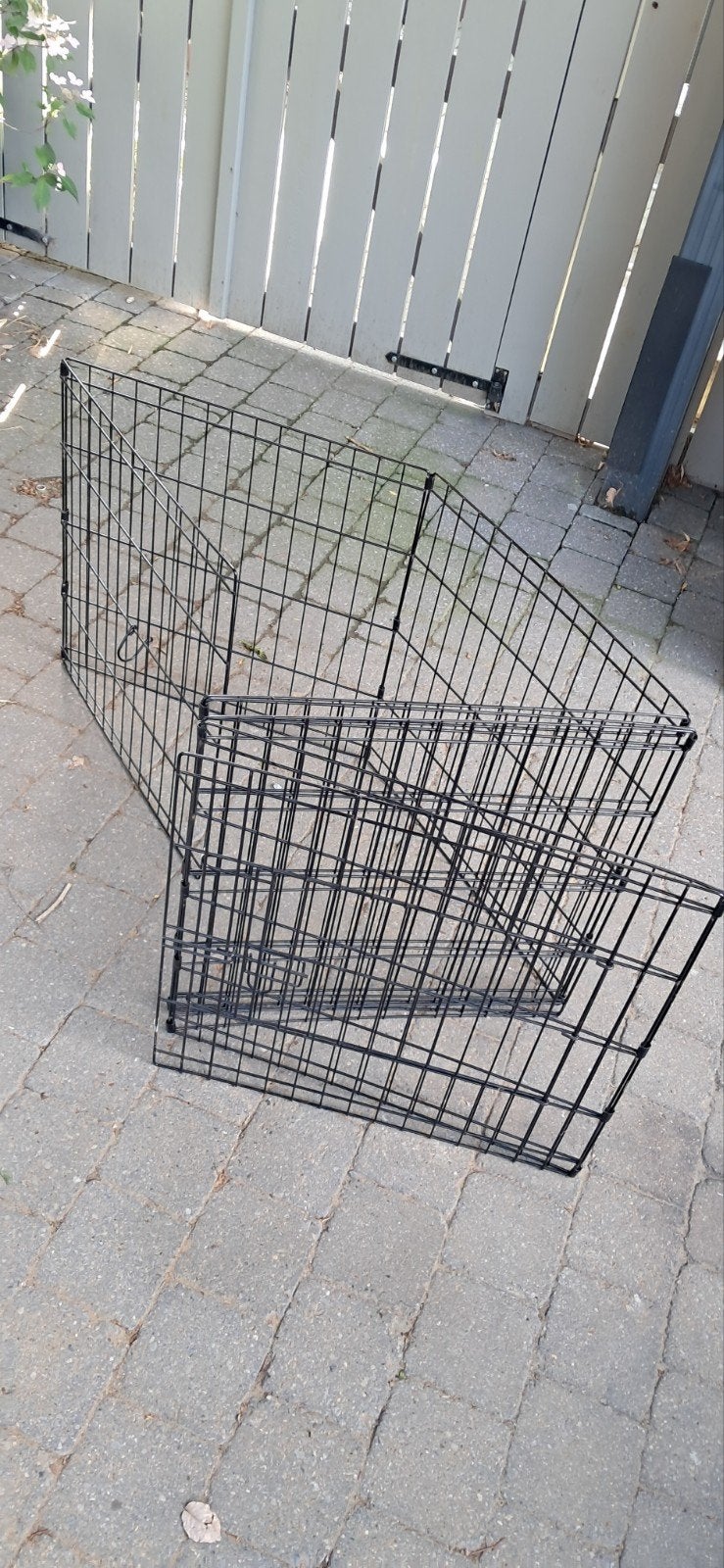 Puppy ren, Dieren en Toebehoren, Hondenhokken, Ophalen