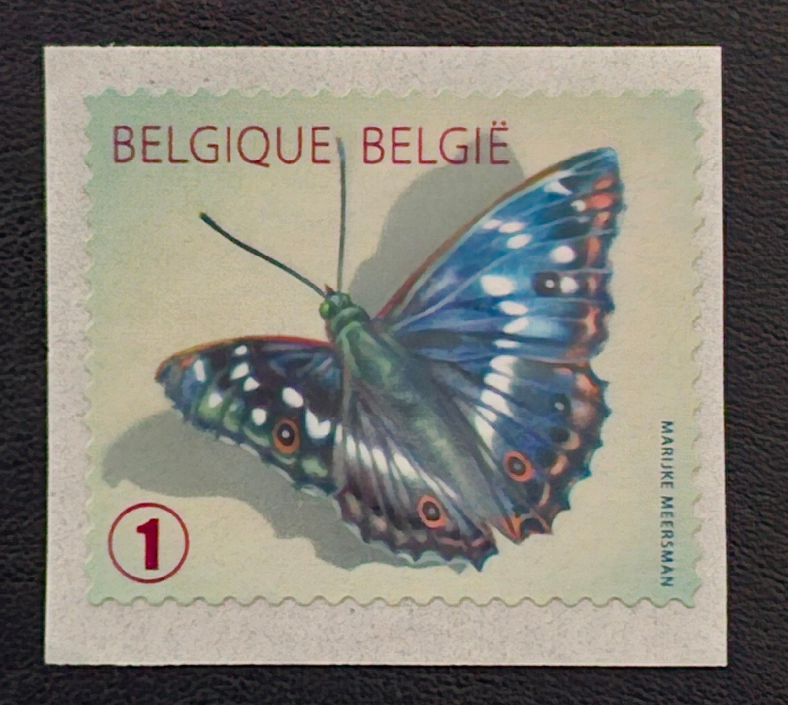 Belgique : COB 4290 ** Pappillons 2012., Sans timbre, Neuf, Enlèvement ou Envoi, Non oblitéré