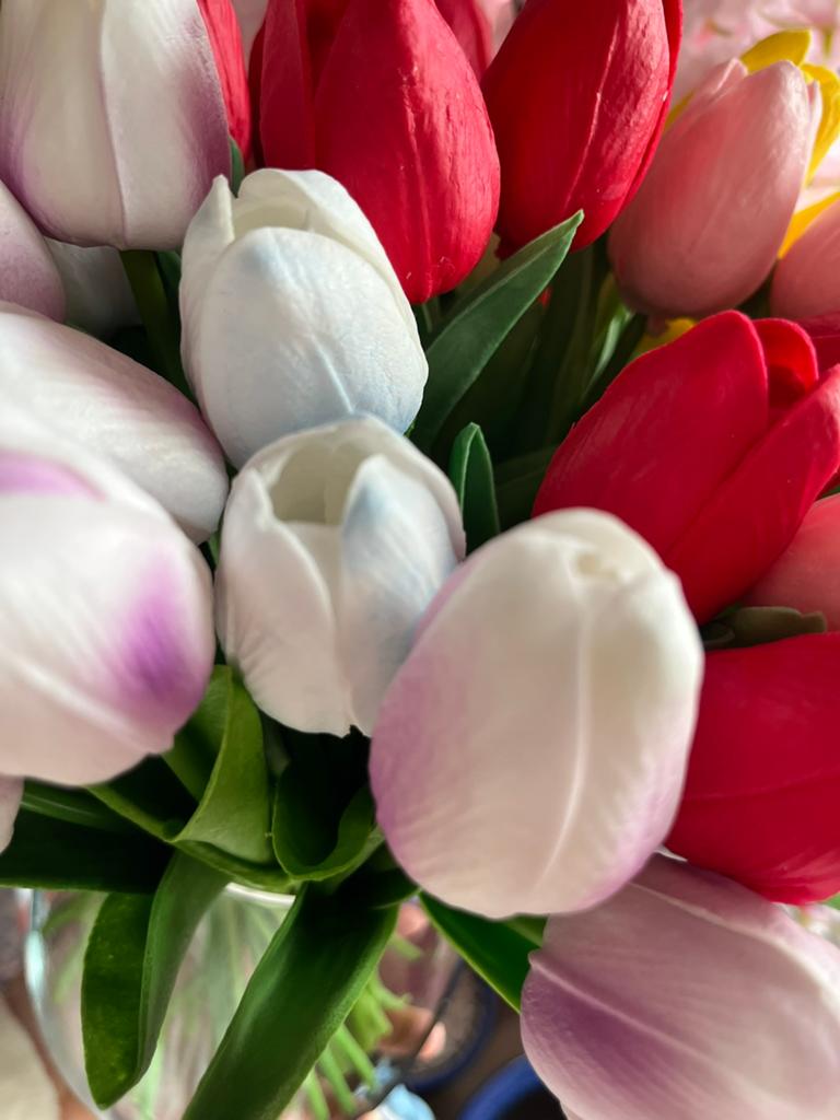 10 Tulipes au choix neuves, Enlèvement ou Envoi