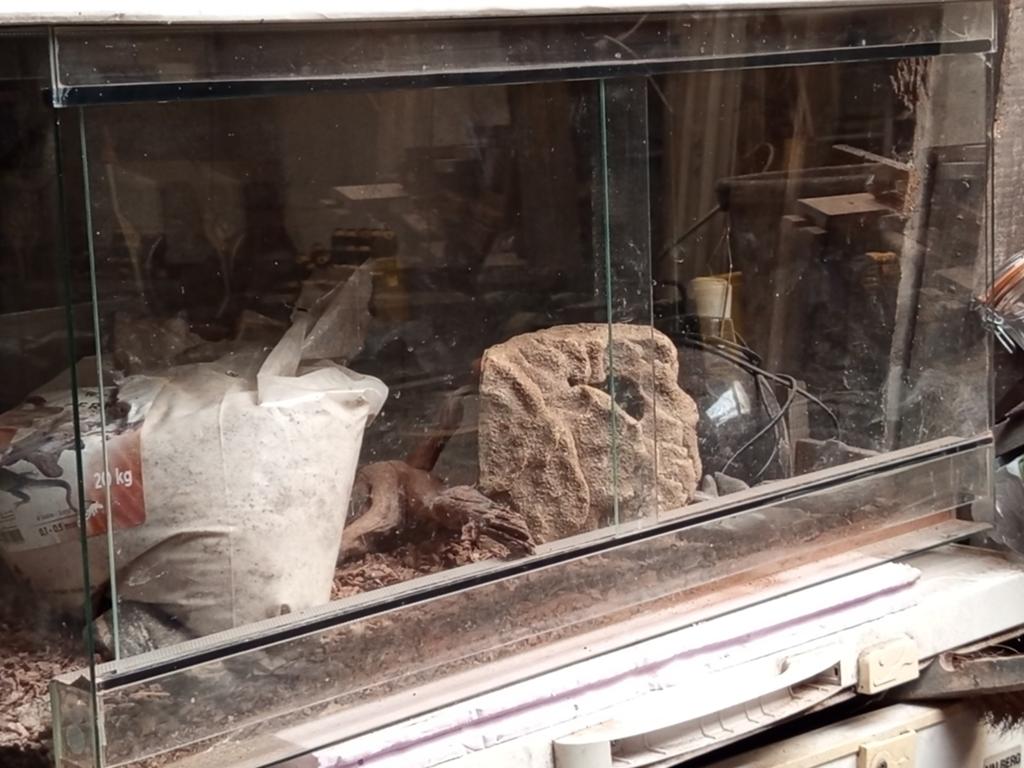 Terarium a vendre 100eur, Animaux & Accessoires, Enlèvement