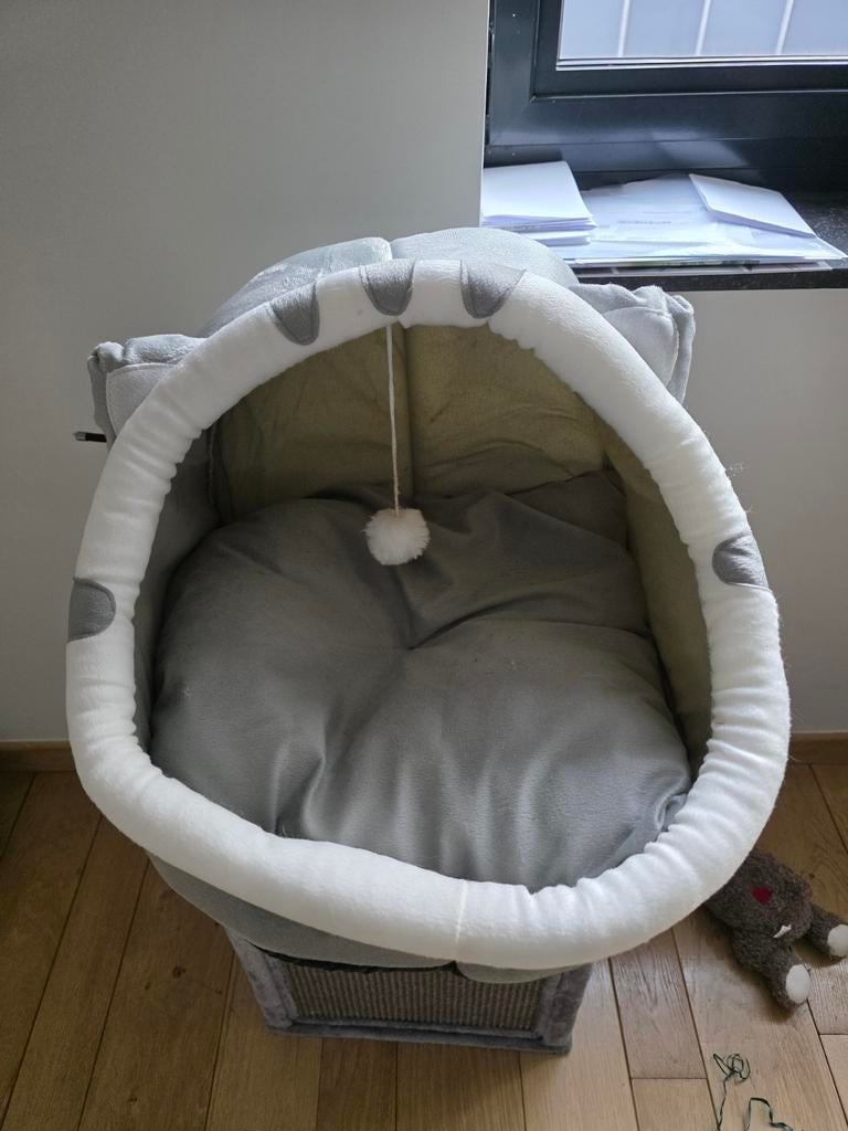 Katten iglo, Enlèvement