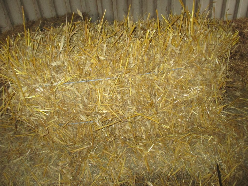 stro 2026, Dieren en Toebehoren, Dierenvoeding, Ophalen
