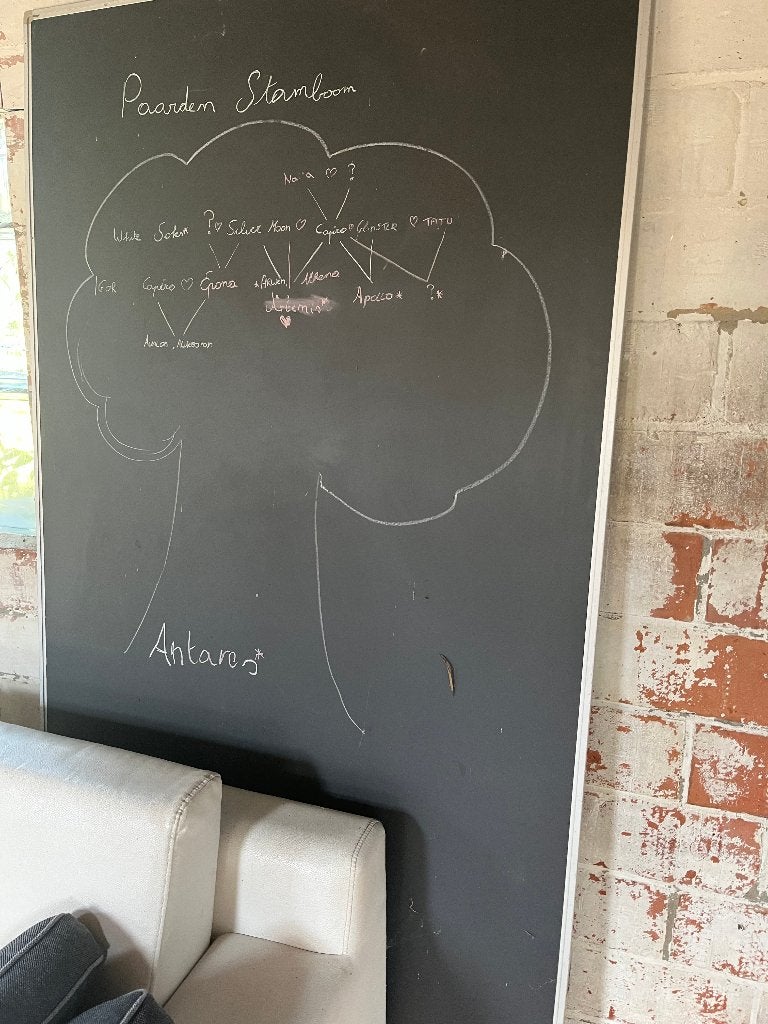 schoolbord, Diversen, Schoolborden, Ophalen, Gebruikt