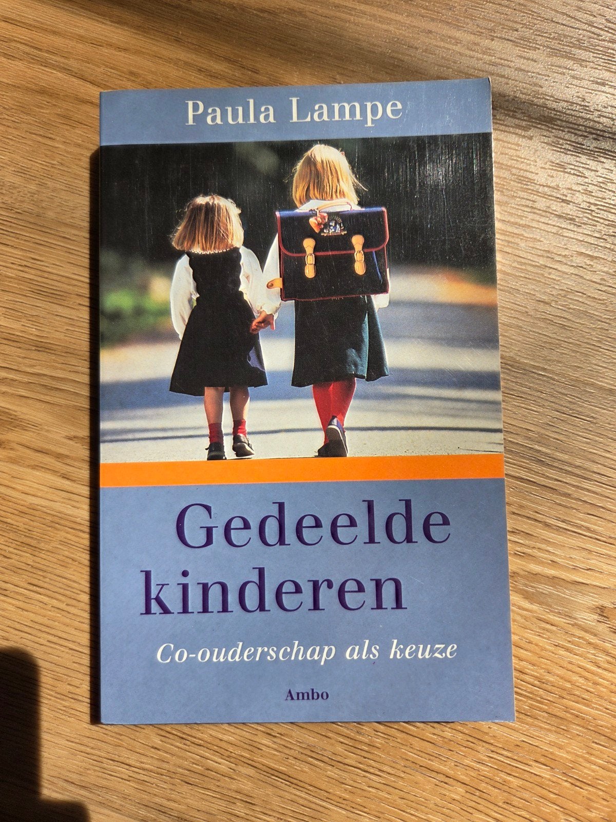 P. Lampe - Gedeelde kinderen, Boeken, Ophalen of Verzenden, P. Lampe